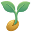Sprout & Leaves